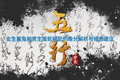 女生属兔和男生属蛇相配 😴 的缘分解 🔤 析与婚恋建议