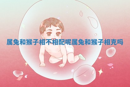 属兔和猴子相不相配呢_ 🍵 属兔和猴 ⛹ 子相克吗 属兔和猴子相不相配呢_ 🍵 属兔和猴 ⛹ 子相克吗