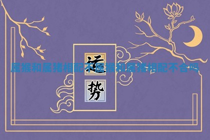 属猴和属猪相配不 属猴 🚍 和属猪相配不 👕 合吗 属猴和属猪相配不 属猴 🚍 和属猪相配不 👕 合吗